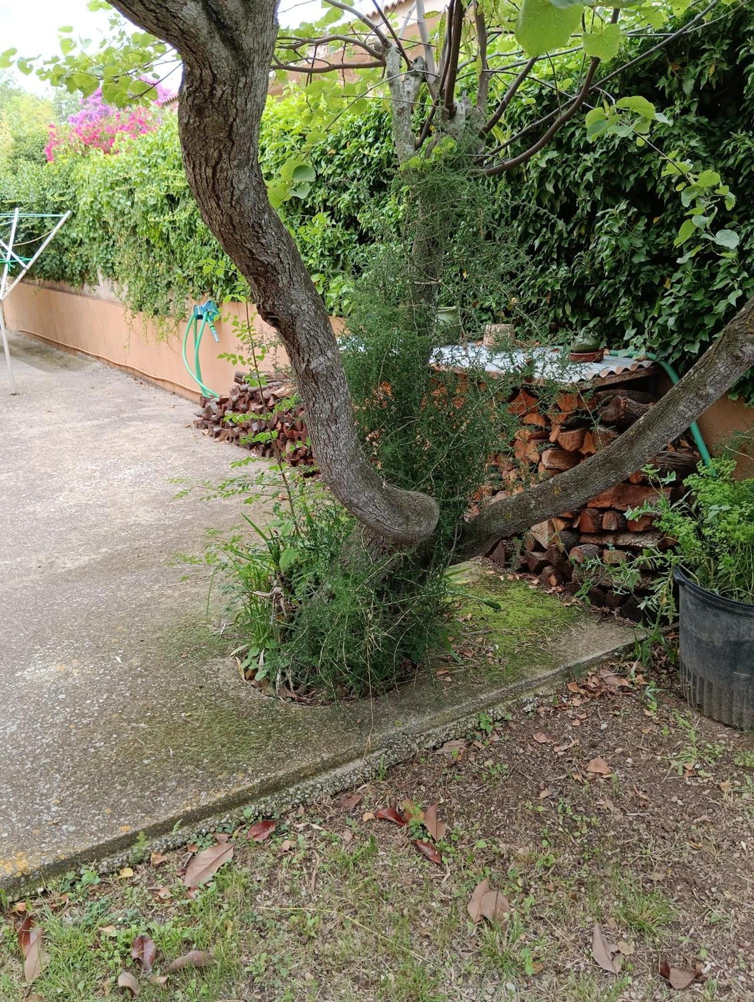 Casa Amb Gran Jardi A Vilauer-Costa Brava - Alt Emporda Vilaur Zewnętrze zdjęcie